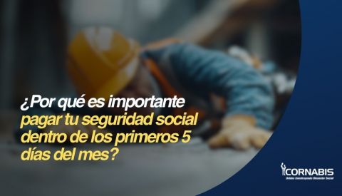¿Por qué es importante pagar tu seguridad social dentro de los primeros 5 días del mes?