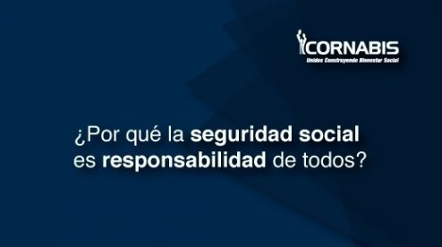 ¿Por qué la Seguridad Social es responsabilidad de todos?